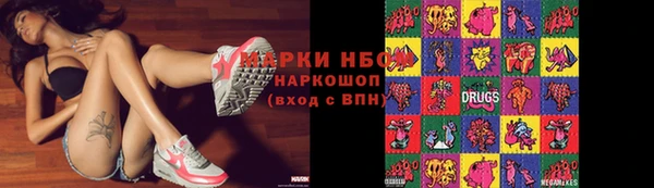 ECSTASY Богданович