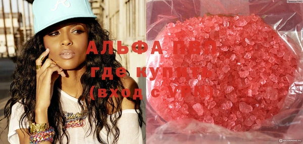 ECSTASY Богданович