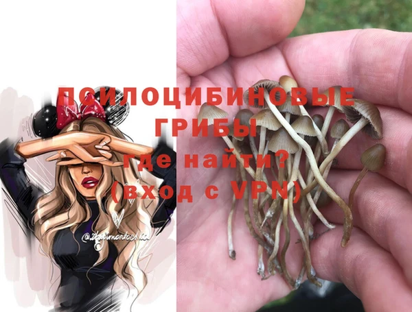 МДМА Белокуриха