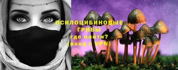 Альфа ПВП Богородск